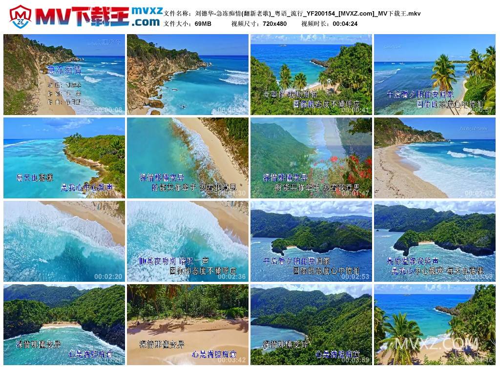 刘德华-急冻痴情(翻新老歌)_粤语_流行_YF200154